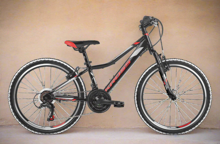 alquiler bici pollensa