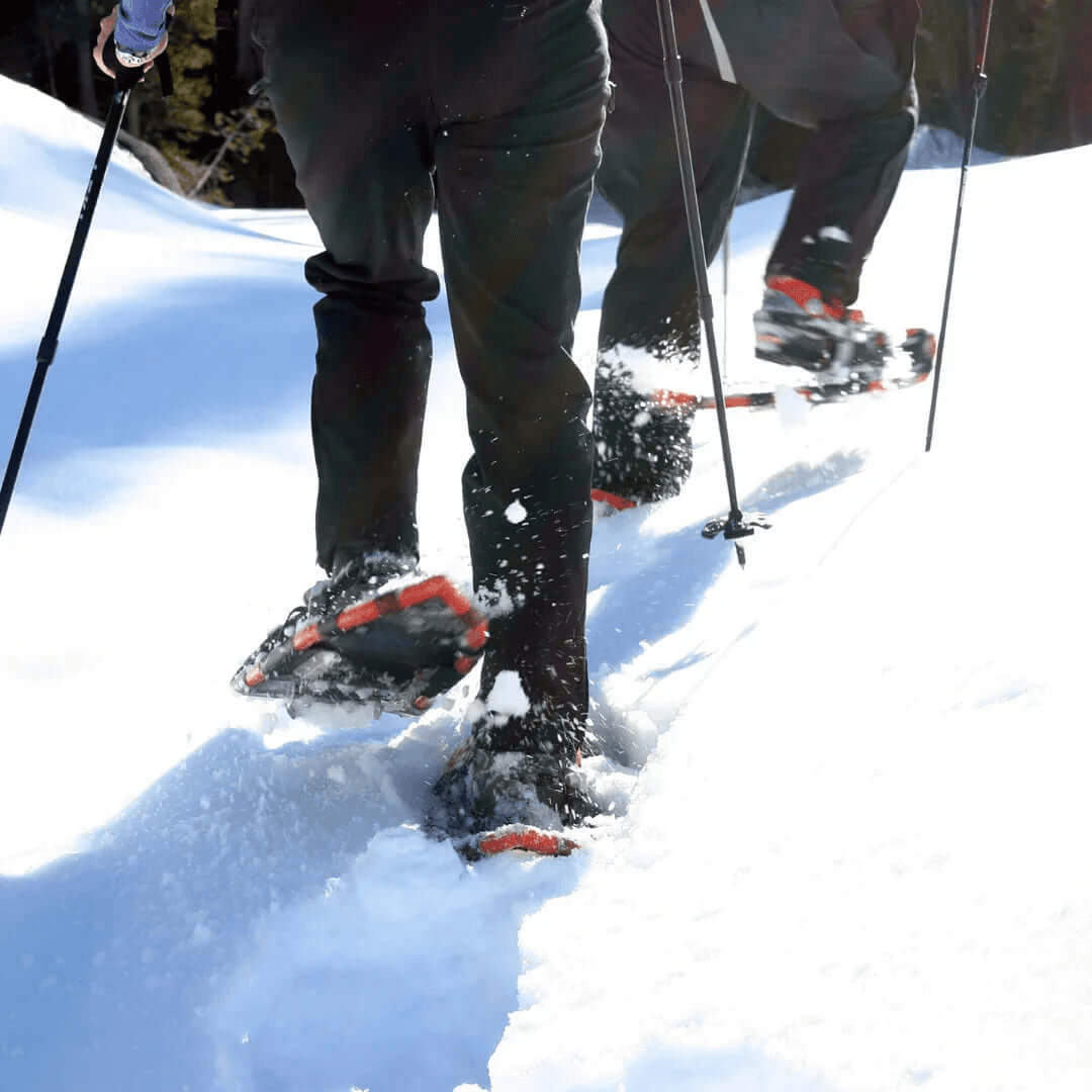 Alquiler Esquís Baqueira Beret - Raquetas / Principiante / Equipo Completo -CaranvaSports - temporada 2026
