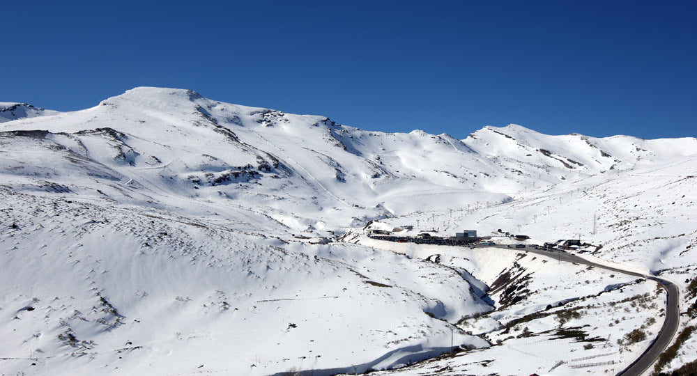 alto campoo