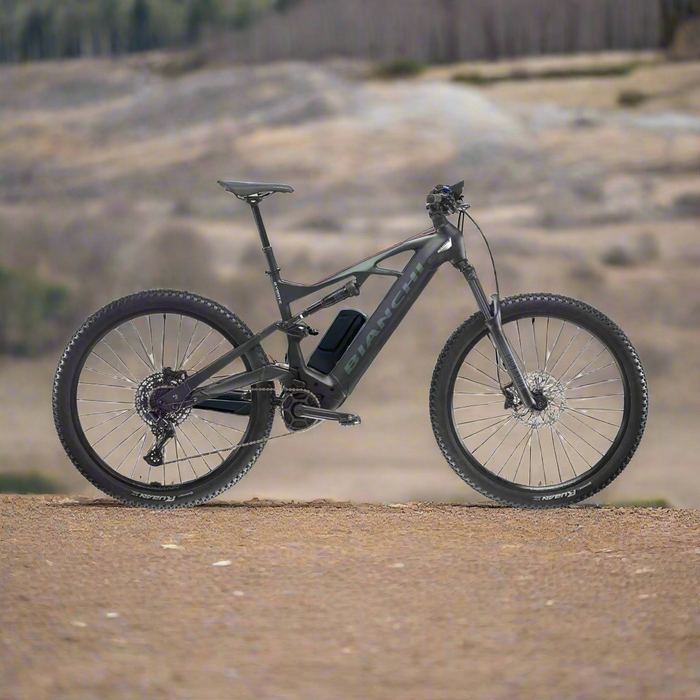 alquiler bici alecetrica